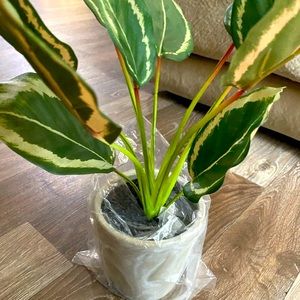 Fake decorative plant, brand new!